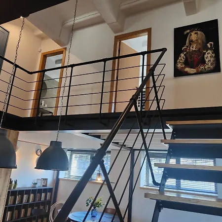 Spacious And Luxury Designer Loft In Newly Renovated Building Soho Lofts , * Vilnius